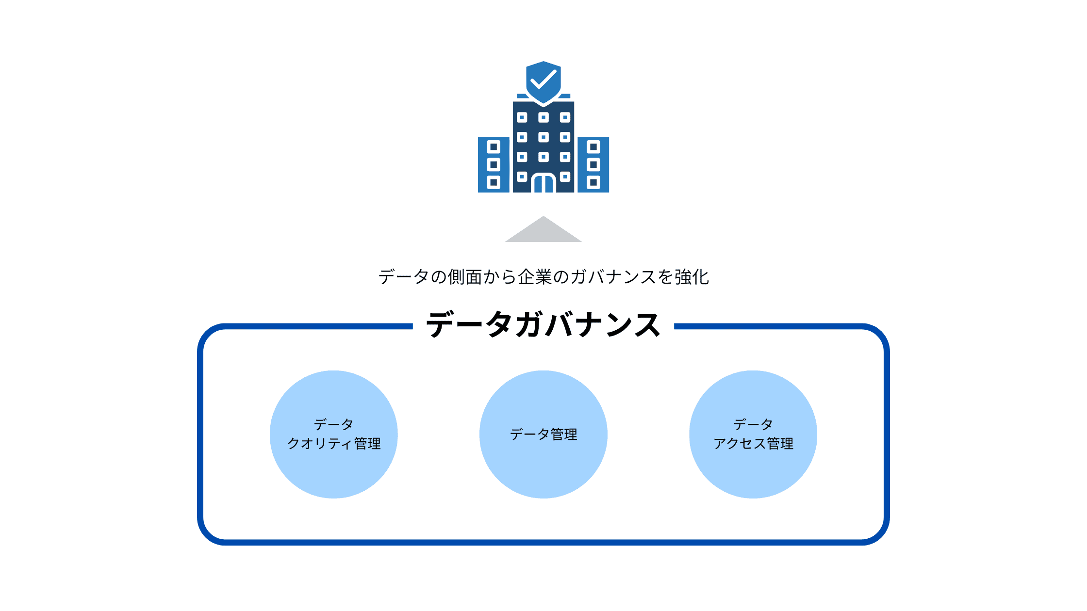 データクオリティ管理・データ管理・データアクセル管理など、データの側面から企業のガバナンスを強化する