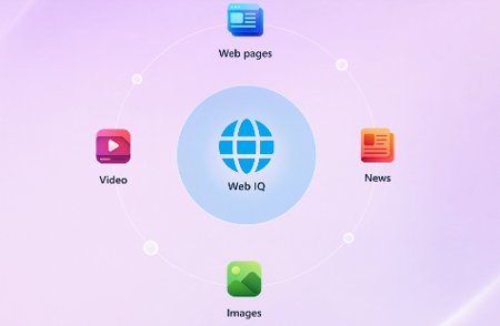 Microsoft Web IQ説明